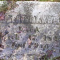 maxwell  robert